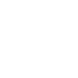 الحوامل