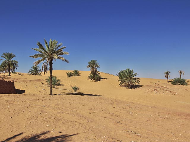 طبيب منزلي في الجنوب