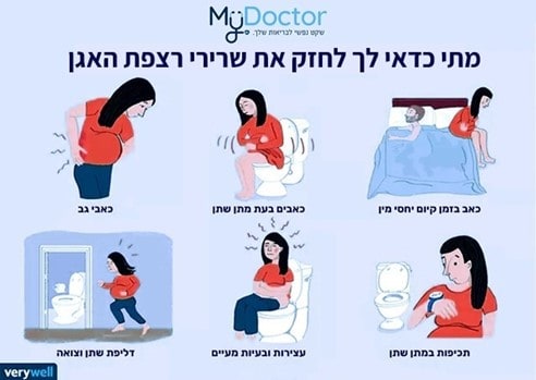 תמונה6