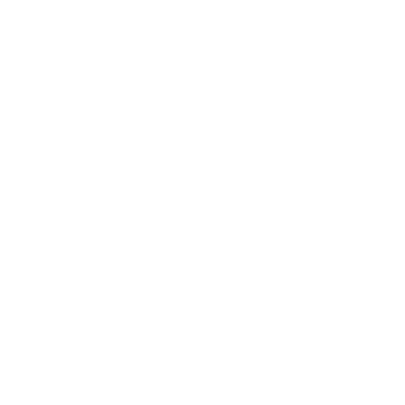 GOLAN ZARHI LOGO WHITE
